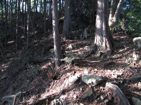 20171026hike (325)